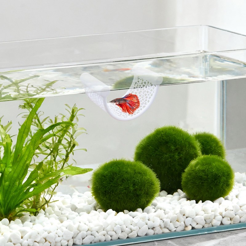 Betta Fish Tank Accessories, Floating Plastic Rest Hammock Platform, Aquarium