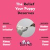 Bladder Control for Dogs | Dog Bladder Supplement - Supports