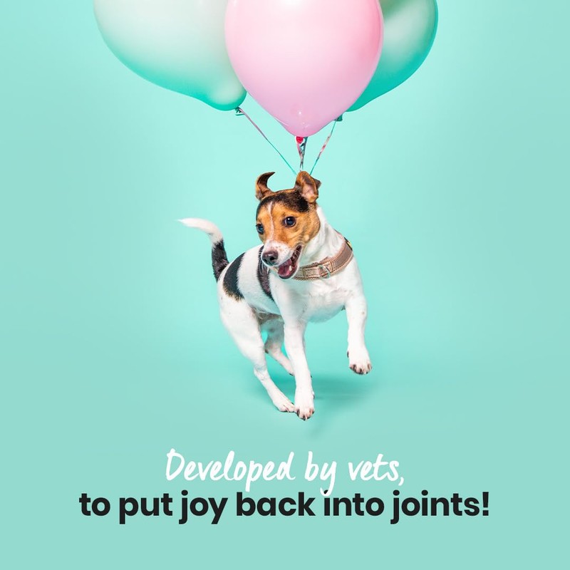 Pooch & Mutt - Daily Joint Care Supplement for Large