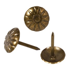 EXCEART 100 tachuelas decorativas para el pulgar, chinchetas para sofá, muebles, chinchetas de flores, chinchetas doradas para fotos, mapas de pared, tablón de anuncios, sacacorchos (latón)