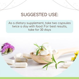 HerbEra Wormwood 60 Capsules, 400 mg, Wormwood (Artemisia Absinthium) Dried Herb (60 Capsules)