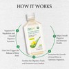 AloeCure Organic Aloe Vera Juice Lemon Flavor – 500ml |