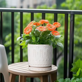 Eightpot Plant Tray for Pots - Ceramic Plant Saucer for Indoors Outdoors 7.5 Inch Plant Water Catcher Tray Plant Drainage Dray Decorative Flower Pot Saucer Plant Plates to Catch Water, Cream White