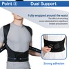 Adjustable Back Posture Belt for Men & Women，Back Brace for