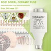 SIGANDG 16A DII E27 R021 Spiral Ceramic Fuses gG Diazed