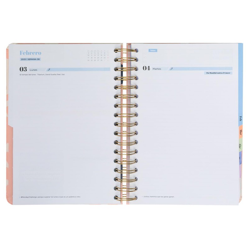 Mr.Wonderful – Office Agenda 2024-25 Daily – Every day I'm