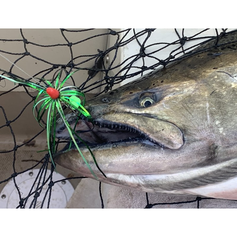 5 Pack 4" Salmon Trolling Fly & Leader Rig UV