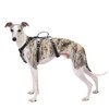 Huntboo Escape Proof Dog Harness, No Pull Reflective Harness with