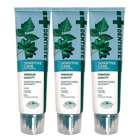 Dentiste New Sensitive Care Toothpaste 100g x 3 / 덴티스테 뉴 센서티브케어 치약 100g x3개