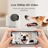 Petcube Cam 360 The Pack of 2 Camera | Ultimate