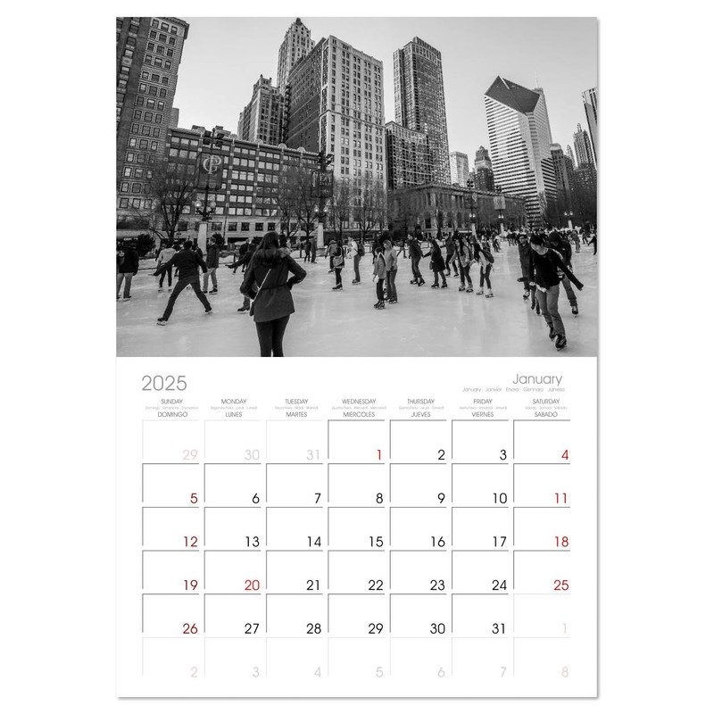 Icy Chicago (Monthly Wall Calendar 2025 11.7" x 16.5" (open)),