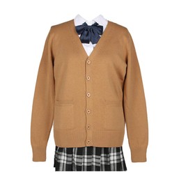 zuevi Girls’ School Cardigan, Uniform, Long Sleeve, Students, Ladies, Sweater, Top, V-Neck, High School, Outerwear, Sweater, Loose, Cotton, Knit, Plain, Commute, Work, Gift, Spring, Autumn, Winter,