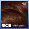 Clairol Nice'n Easy Permanent Hair Dye, 5CB Medium Warm Chestnut
