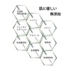BOTANICOAT Skull Prebalancing Treatment, Herbal Treatment, 3-Way Treatment, Non-Rinsing Treatment,