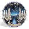 9 Year Sobriety Coin Gifts | Forest Wanderer AA Chip