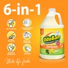 OdoBan Disinfectant Concentrate and Odor Eliminator, 1 Gallon, Citrus Scent