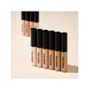 The Saem Cover Perfection Tip Concealer / 더샘 커버 퍼펙션