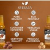 Syruvia Coffee Syrup Variety Pack - Peanut Butter Cup &