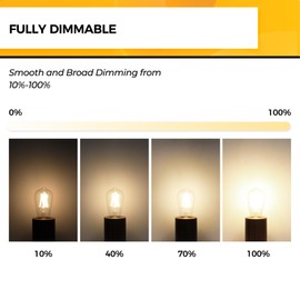 Hizashi LED Edison Bulbs, 6W, Equivalent 60W, Dimmable E26 LED Bulb, 3000K Soft White, 90+ CRI 700 Lumens, ST19 Vintage Light Bulbs, Clear Glass, Pack of 3