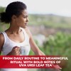 4 oz. Uva Ursi Leaf Uva Ursi Tea Herbal (Arctostaphylos