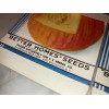 Better Homes Lot: 5 Vintage Better Homes PUMPKIN Seed Packets,