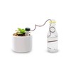 (8-Pack) Automatic Plant Watering System Devices, Slow Release Ceramic Material