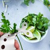 Stainless Steel Herb Stripper Tool, 10 Holes, Kitchen Leaf Remover