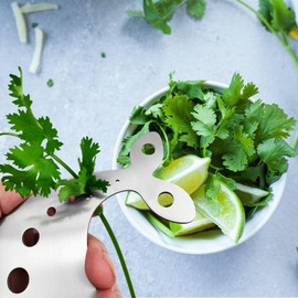 Stainless Steel Herb Stripper Tool, 10 Holes, Kitchen Leaf Remover for Kale, Thyme, Basil, Rosemary and More
