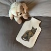 'Tortoiseshell Cat' Hot Water Bottle Cover (HW00026560)