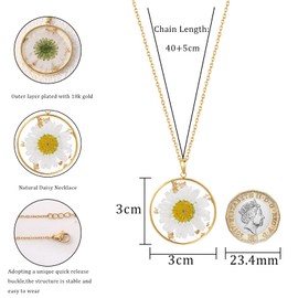 Gold Plated Daisy Circle Necklace for Women - Pressed White Birth Flower Pendant in Clear Resin, Elegant Gift for Her