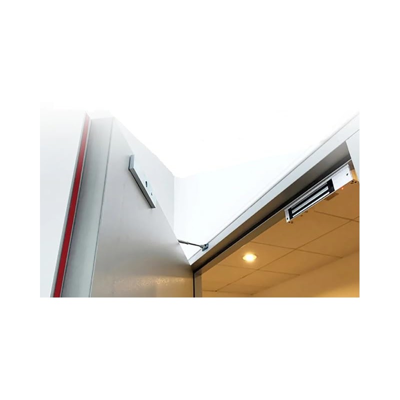 Stainless Waterproof Door Access Control System Kit, 300kg/660lbs Force Electric