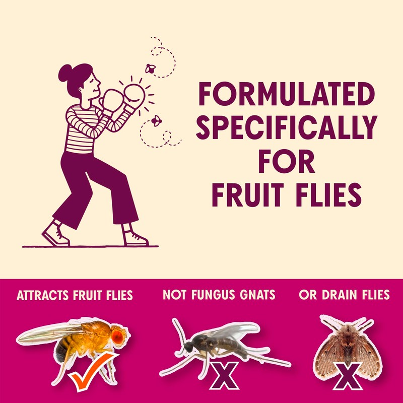 Aunt Fannie's FlyPunch Fruit Fly Trap for Indoor and Kitchen