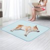 PUPTECK Upgraded Dog Cooling Mat Ice Silk Self Cool Pad