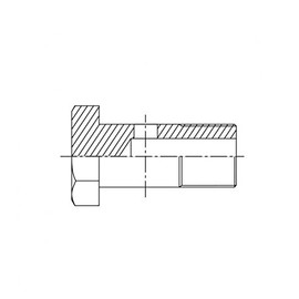 Hydraulic Hose Fitting Hollow Screw – Imperial – 3/8 "