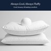 Delara Pillows for Sleeping Set of 2 Bed Pillows, Organic