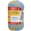 Regia Pairfect Sock Yarn (Stripeway Color 2297 - Jeans-Sky-Brick)