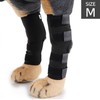 Different dog patella joint protector M 2p 1set / puppy red 2ea