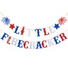 Ushinemi Banner de primer cumpleaños con purpurina Little Firecracker pre-encordado,