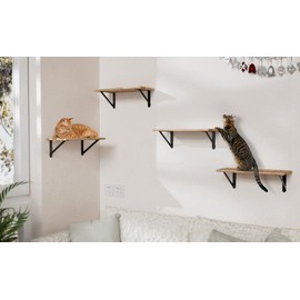 4x3 Shelf Brackets 6-Pack, Shelf Support Shelf Holder Steel Wall Mount Heavy Duty Small L Shape Triangle 90 Degree Metal Black with Screws Anchors Soporte de Estante