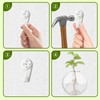 Plant Propagation Station Wall Hanging Planter -Clear Glass Terrarium Vasesfor