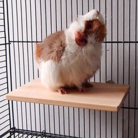 Wooden Stand Pet Bird Toy Parrot Cage Toy 4X9.5CM GD12306 100ea