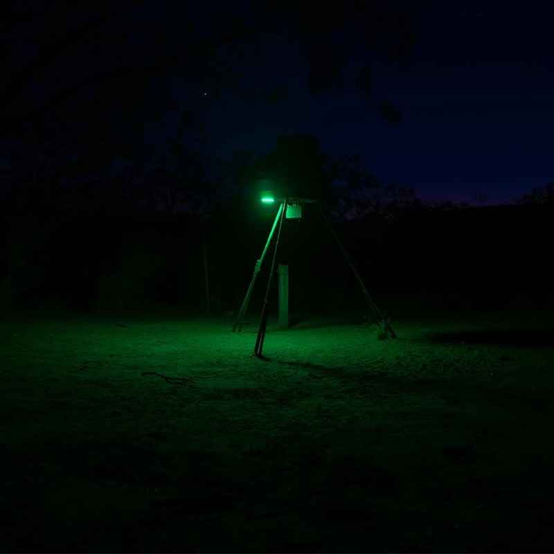 Elusive Wildlife Kill Light Sportsman Motion Activated Light, Feeder Lights