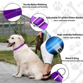 Seyezo Martingale Dog Collar, Slip Martingale Collar with No Buckle, Adjustable Pet Trainning Collar for Small Medium Large Dogs, Reflective Heavy Duty Nylon No Pull Martingale Collar, L, Purple