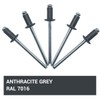 SKIR'CO Pack of 500 Painted Blind Rivets 3.2 x 8