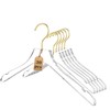 Besser 30 Pack Acrylic Hangers with Gold,Acrylic Clear Hangers,Premium Crystal