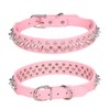 Dog Collar Set with Studs, Rivets, Studded, Puppy Collars, Spiked