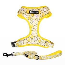 Dog Harness and Leash Set, Adjustable Dog Harness, Dog Leash, No Pull No Choke Puppy Harnesses for Walking Training for Small, Medium, Large Pet