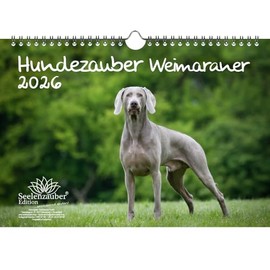 Hundezauber Weimaraner DIN A4 Kalender für 2026 Welpen und Hunde - Geschenkset Inhalt: 1x Kalender, 1x Weihnachtsanhänger (insgesamt 2 Teile)