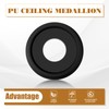 BBTO 2 Pack Black Ceiling Medallion for Light Fixtures and