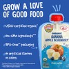 Earth's Best Organic Banana Apple Blueberry Pouch, 3.5 oz (Pack